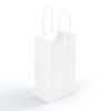 White Express Small Paper Bags